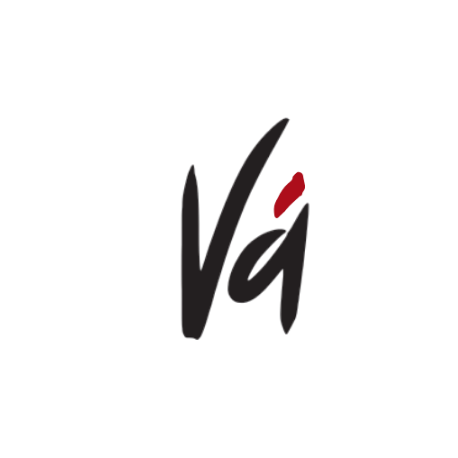 LOGO VÁ